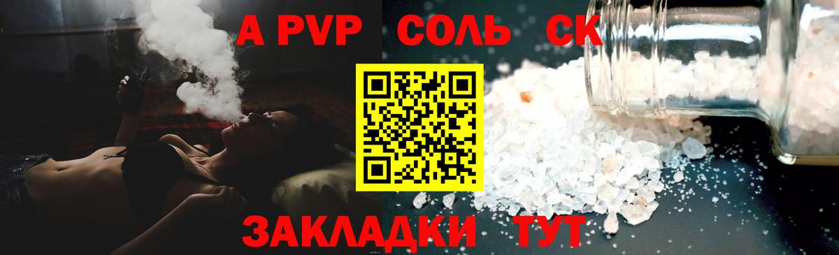 Альфа ПВП СК Курчалой