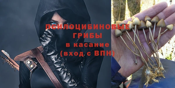 шишки Алексин