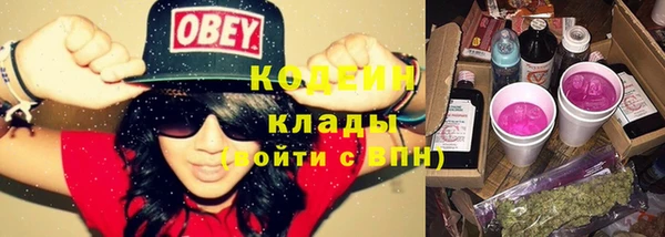 гашик Корсаков