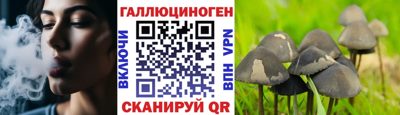 Псилоцибиновые грибы GOLDEN TEACHER  Курчалой 