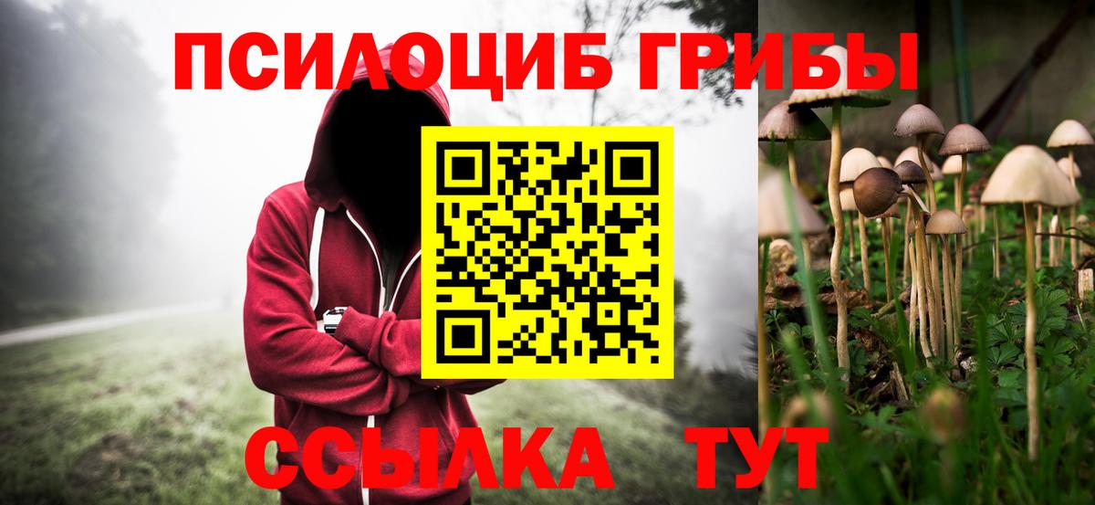 Курчалой  Псилоцибиновые грибы MAGIC MUSHROOMS  Вход с VPN 