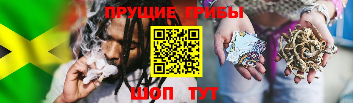Галлюциногенные грибы MAGIC MUSHROOMS Курчалой